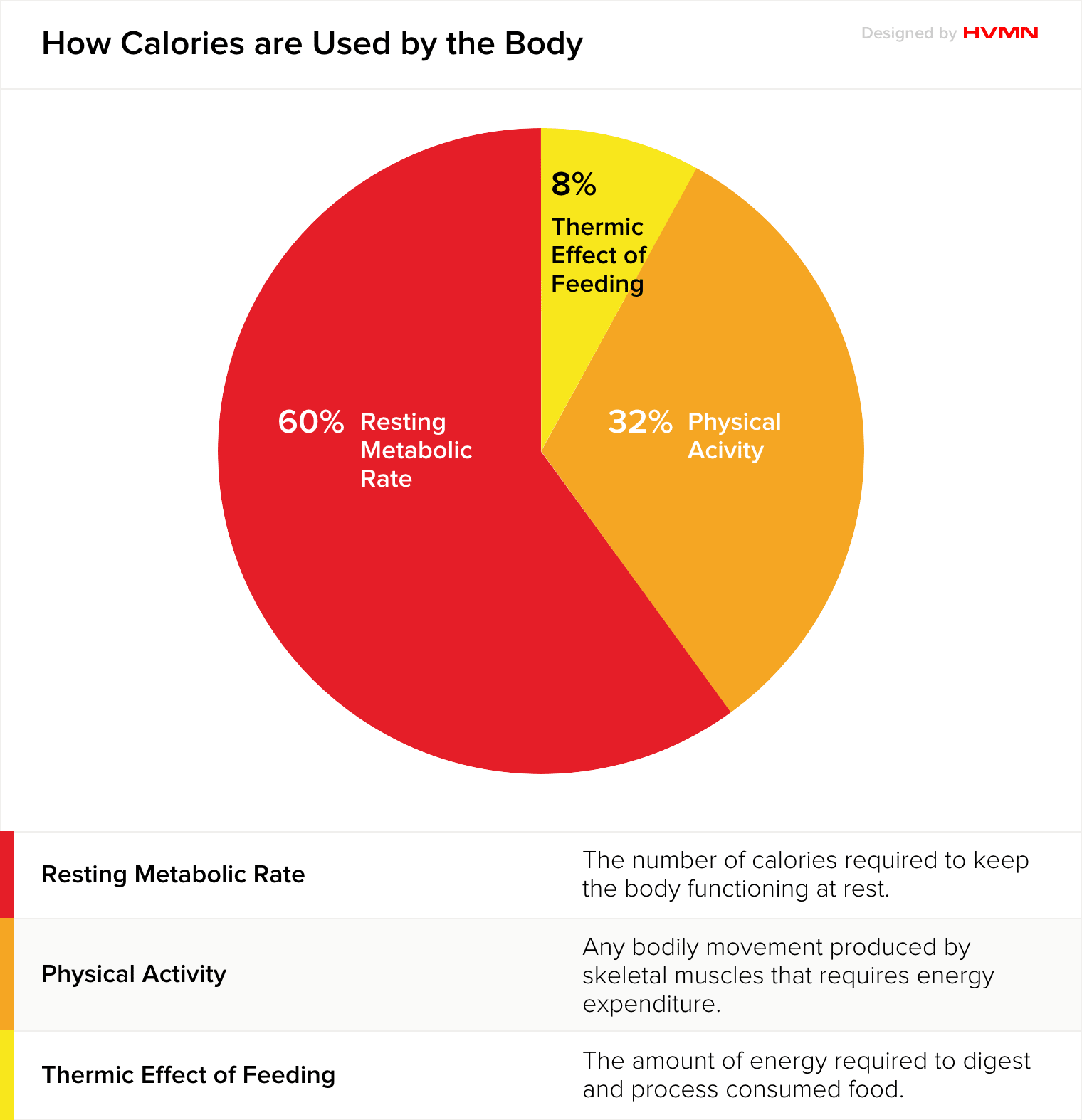 resting-metabolic-rate-rmr-science-of-metabolism-true-health-center